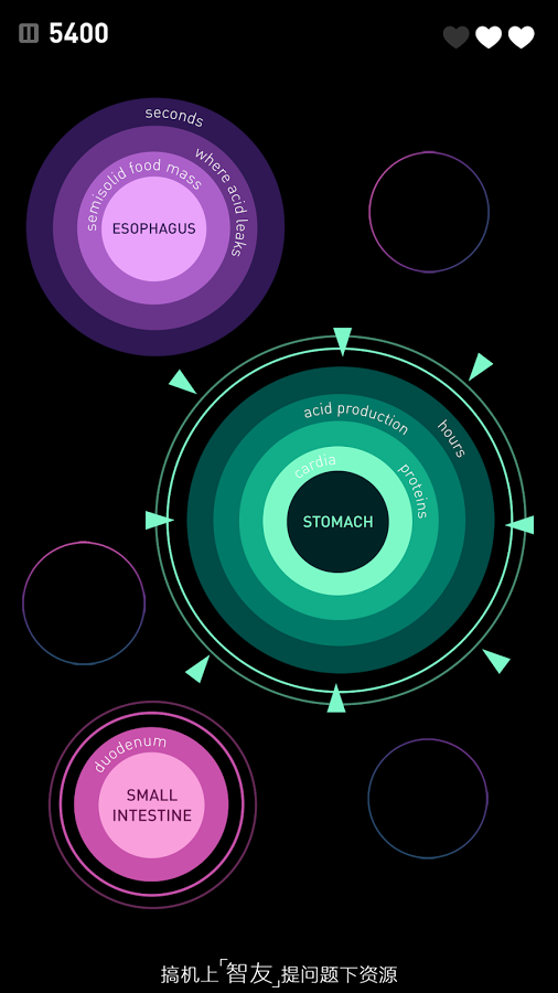 Elevateѵʦٷ߼v4.10 ʽ