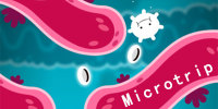 Microtrip