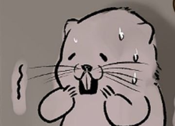 竹鼠活下去 竹鼠活下去