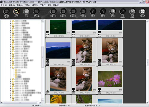 Digital Photo Librarianv4.0 ٷ