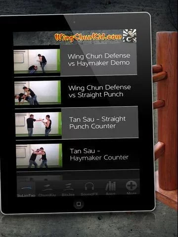 Wing Chun aӽv1.0 ׿