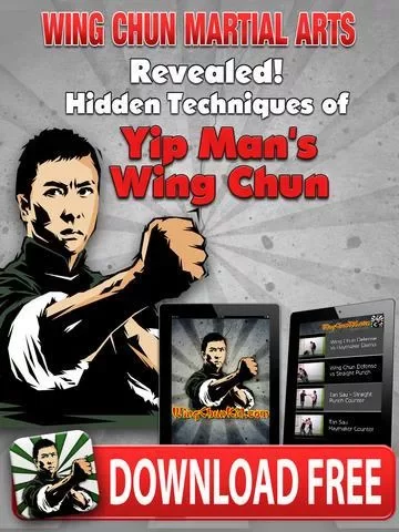 Wing Chun aӽv1.0 ׿