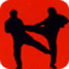 Defensive Fightingv1.3.3 ׿