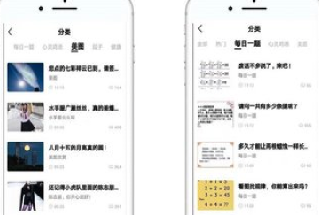 快狗头条 快狗头条