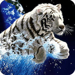 3D Tiger(3D)v1.51 ׿