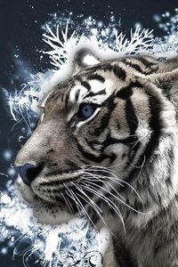 3D Tiger(3D)v1.51 ׿