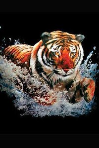 3D Tiger(3D)v1.51 ׿