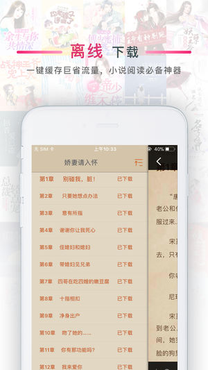 ÿС˵iosv1.0.0 iPhone