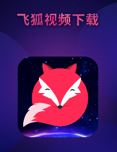 飞狐视频下载器app