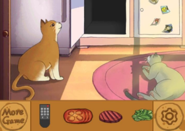 流浪的橘猫侠 流浪的橘猫侠