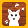 Cat Toysèappv1.8 ׿