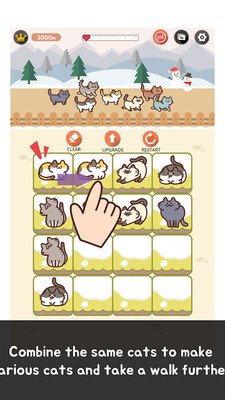 2048 WalkingCat(è2048Ϸ)v2.0.4 ׿