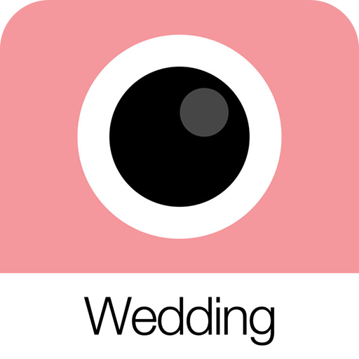 Analog Wedding (ģ)׿