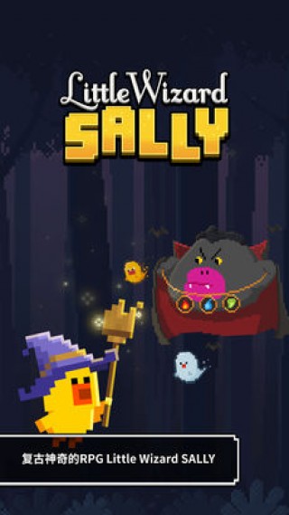 Little Wizard Sallyv1.0.0 ׿