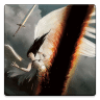 DSMDC(ƾƽ)v1.5 ׿
