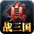 真战三国手游v1.1000 安卓版