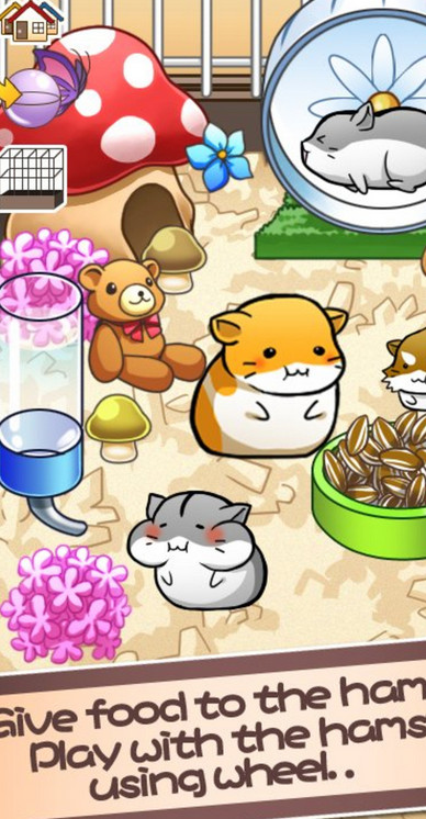 Hamster Life(Ϸ)v4.4.3 ׿