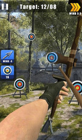 Archery Champion: Real Shooting(ھ)v1.0 °