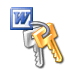 Word Password Recovery Master