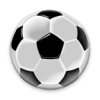 Natural Soccerv1.5.2 ׿