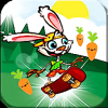 Animal Skater: Jungle Adventure(ﻬ̽Ϸ)v2.0 °