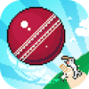 Mighty Cricket(ǿİϷ)v1.0.1 °