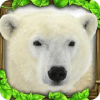 PolarBearSim(ģϷ)v1 ׿