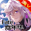 FATE껪V