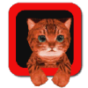 Cat Simulator 3D(Сèģ)v1.1 ׿