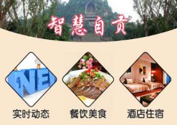 智慧自贡 智慧自贡