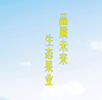 品质未来app 品质未来app