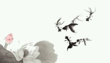 诗词前后 诗词前后