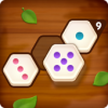 Number Puzzle Hexa(ƴͼ)v1.0.9 ׿