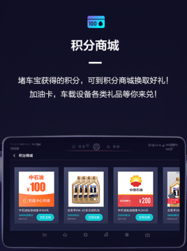 斑马副驾 斑马副驾