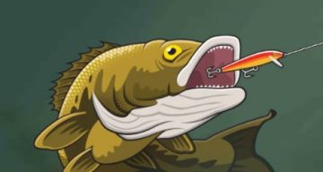 ְҵ������Ϸ