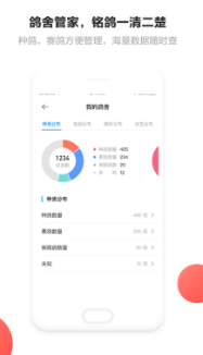 搜鸽网app