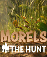 ǾMorels: The Hunt