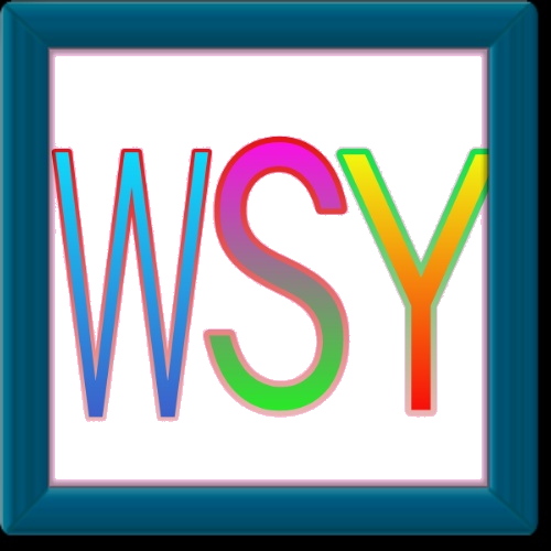 WSYӰԺv1.31 ׿