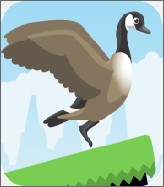 Jump Goose Jump!(ģֻ)v1.03 İ