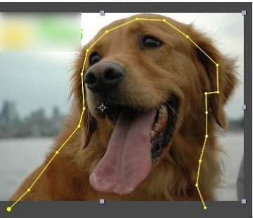 PowerMatte(AE���ܿ�ͼ���) 