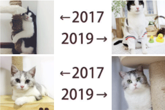 20172019ĶԱʲô Ȧɹ2017-2019ʲô˼