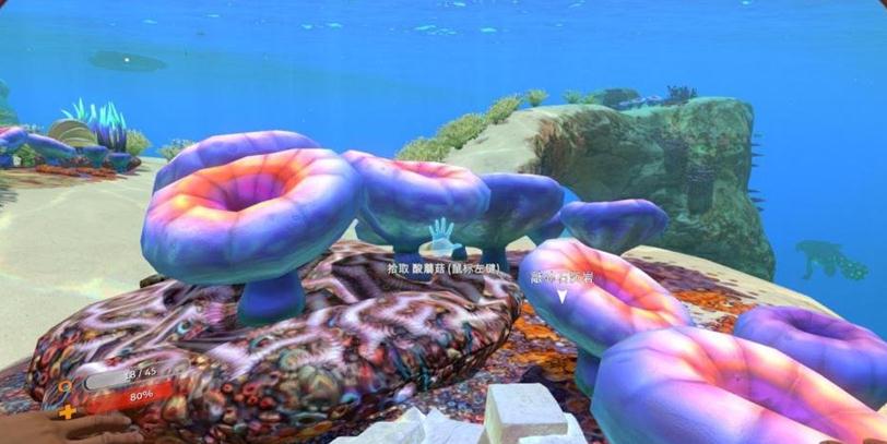 ˮ֮(Subnautica)ⰲװİ