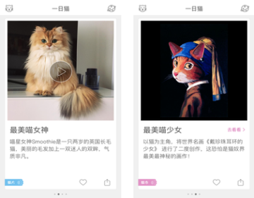 一日猫app 一日猫app