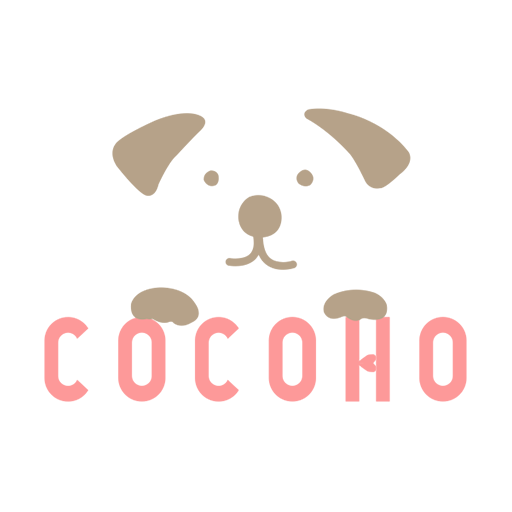 Cocohov1.1.1 安卓版