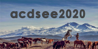 acdsee2020