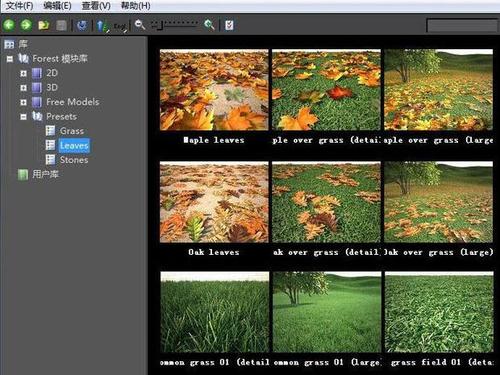 ItooForestPackPro(3DSMAXɭֲ)v6.1.2 ƽ