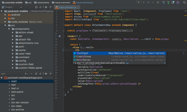 JetBrains WebStorm ʽ