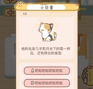 猫宅97