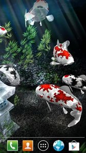 My 3D Fish II(ҵ3DС㶯̬)v2.3 ׿