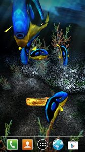 My 3D Fish II(ҵ3DС㶯̬)v2.3 ׿